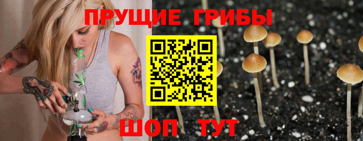 Галлюциногенные грибы мухоморы Балашиха