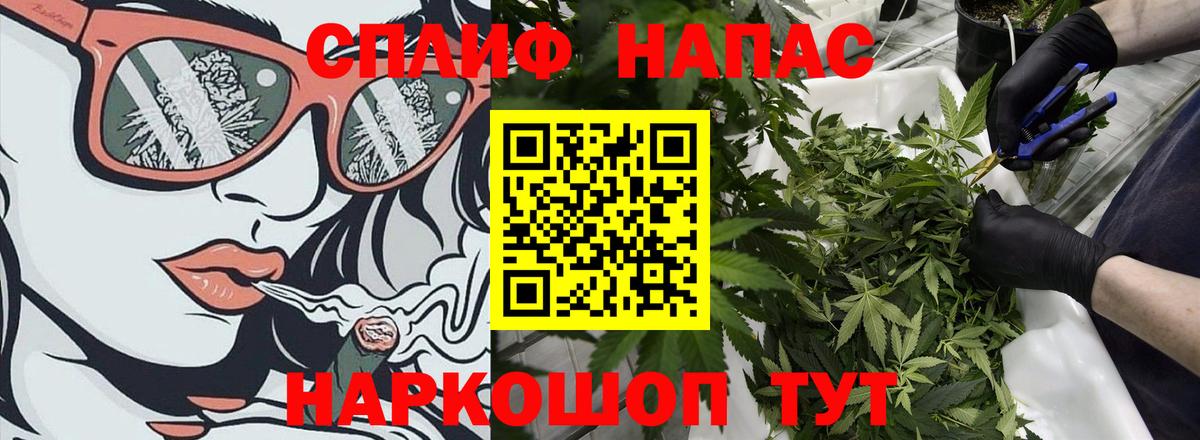 Канабис White Widow Балашиха